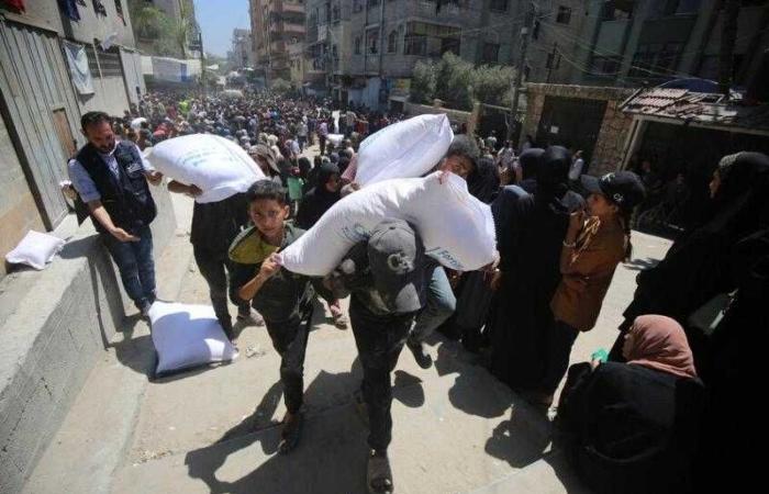 ”مخدرات في الطحين”.. فلسطيني يعثر على حبوب مخدرة في كيس المساعدات الأمريكية - الإسرائيلية