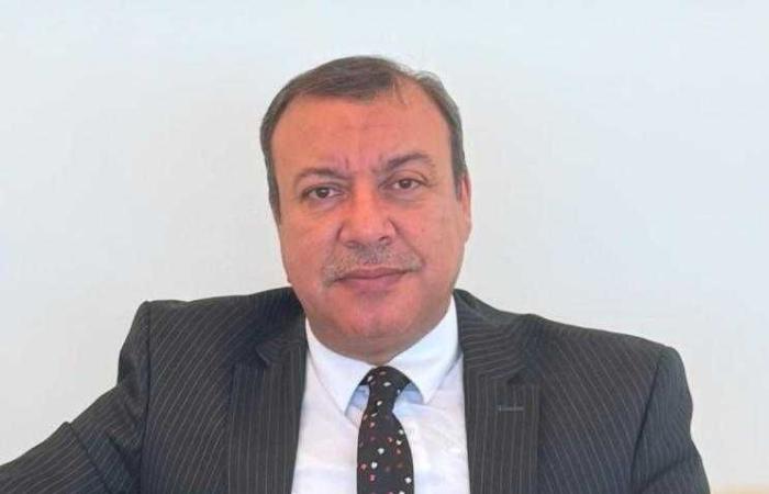 قيادي بـ «مستقبل وطن»: المصريون بالكويت يقدمون لوحة وطنية مشرفة في انتخابات الشيوخ
