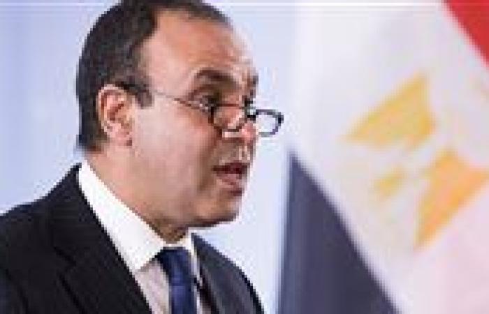 وزير الخارجية: مصر تظل طرفا فاعلا فى جهود ترسيخ الأمن والاستقرار بالمنطقة