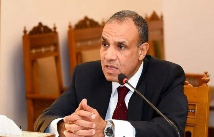 وزير الخارجية: القضية الفلسطينية تأتي على رأس أولويات مصر