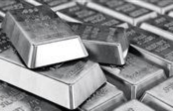 قفزة قياسية.. الفضة تسجل أعلى مستوياتها في 14 عاما
