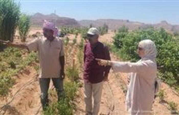 وكيل "زراعة جنوب سيناء" يتفقد وادي سعال التنموي لحل مشكلات المزارعين وتعزيز الخدمات الزراعية