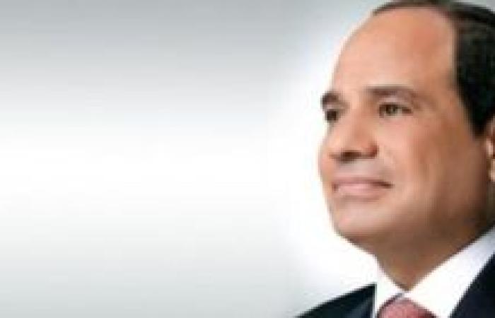 الرئيس السيسى: مصر مستمرة فى بذل جهودها المكثفة لخفض التوتر وإحياء السلام
