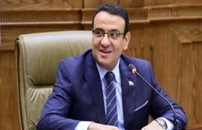متحدث النواب السابق: مصر بوابة الحل وأمنها جزء من الأمن القومي العربي