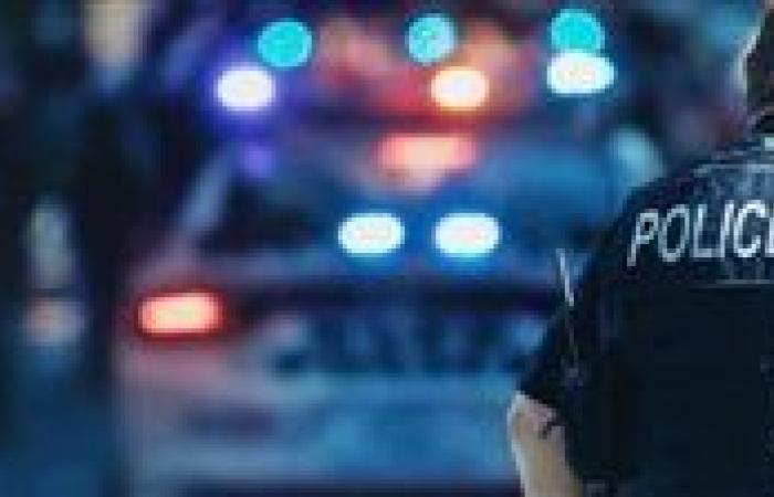 مقتل 7 وإصابة 8 آخرين في حادث تصادم شاحنتين بولاية أيداهو الأمريكية
