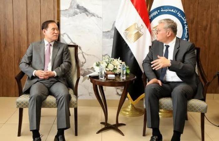 مصر وكوريا الجنوبية: فرص استثمارية واعدة في قطاع البترول والغاز المصري