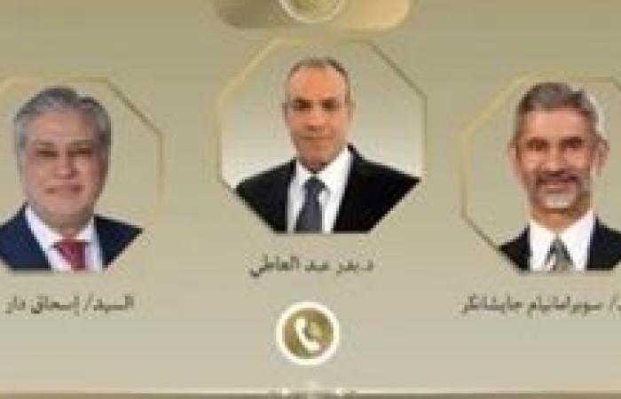 بدر عبد العاطي يجري اتصالين هاتفيين مع وزيرى خارجية الهند وباكستان