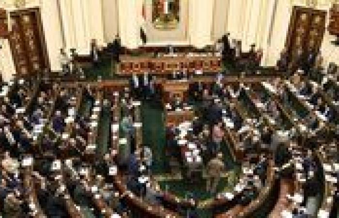 النواب يوافق على تعديل قانون الصيادلة نهائيا.. اعرف أهم بنوده