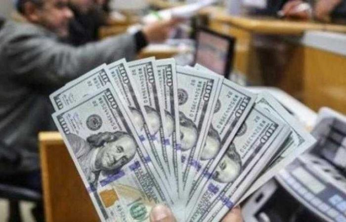 ضبط قضايا إتجار بالنقد الأجنبي بتعاملات 5 ملايين جنيه خلال 24 ساعة