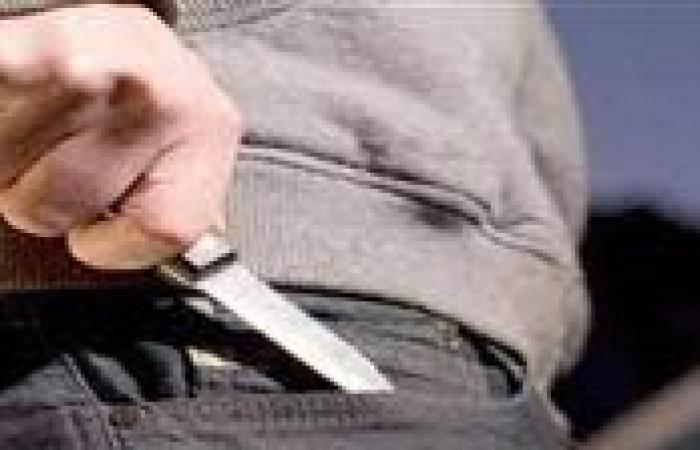 لخلافات زوجية.. زوج يطعن زوجته وشقيقها بإحدى قرى الدقهلية