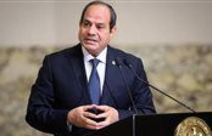 نائب رئيس"المؤتمر": توجيهات الرئيس السيسي خارطة طريق لترسيخ مناخ استثماري جاذب وتمكين القطاع الخاص