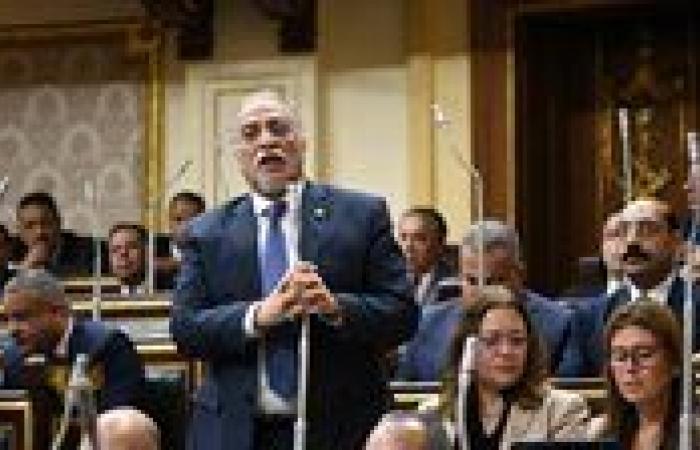 القصبي: مشروع قانون النواب يحقق التوازن بين العدالة العددية والتماسك الجغرافي والالتزام الدستوري