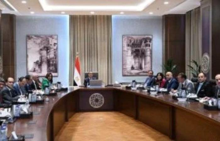 مدبولي: استراتيجية لتوطين صناعة الحرير بمصر من خلال منهجية تطوير التكتلات