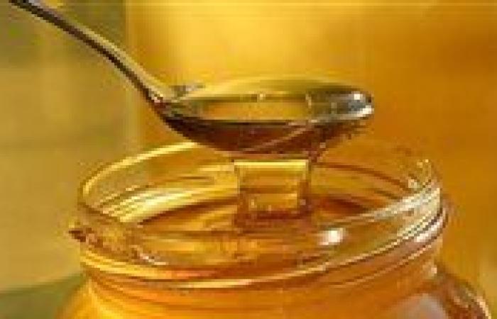 اتحاد النحالين العرب يكشف حقيقة العسل المضروب.. فيديو