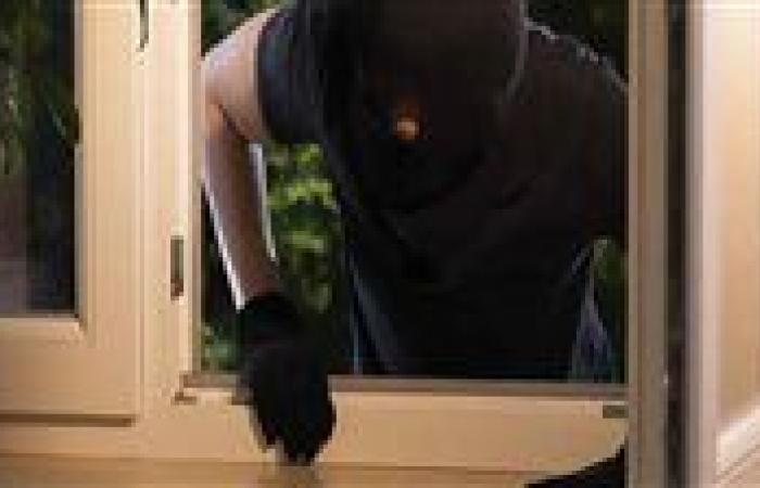 بأسلوب التسلق.. سقوط لص المساكن في السلام بقبضة الأمن
