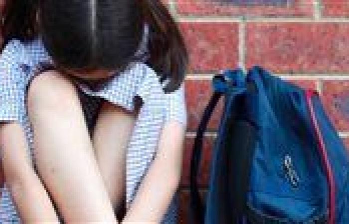 قرار من النيابة بشأن المهتم بالتحرش بطالبة في النزهة