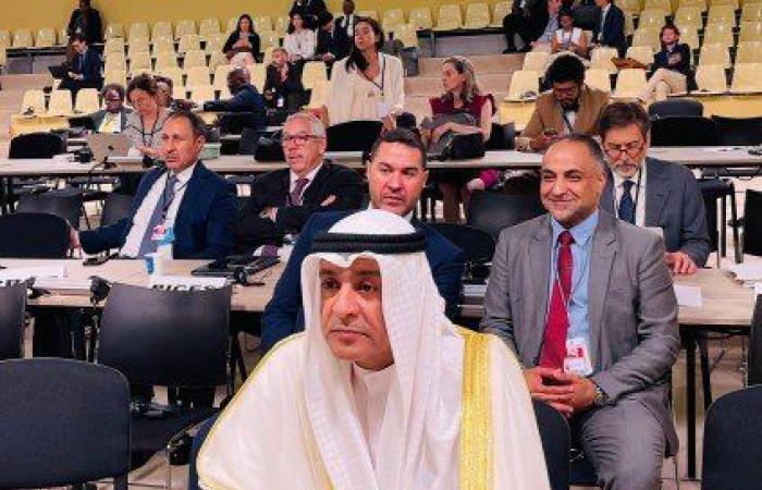 أمين مجلس التعاون: دول الخليج تبذل جهودا لتعزيز السلامة البحرية والبيئية وتحقيق الهدف الـ14 للتنمية المستدامة