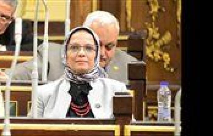 نجلاء العسيلي: مصر لن تسمح بالمزايدة على دورها في دعم غزة.. وتنظيم دخول القوافل ضرورة لحماية الأمن القومي