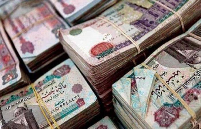 «خاص وحكومي».. موعد صرف مرتبات شهر يونيو 2025؟