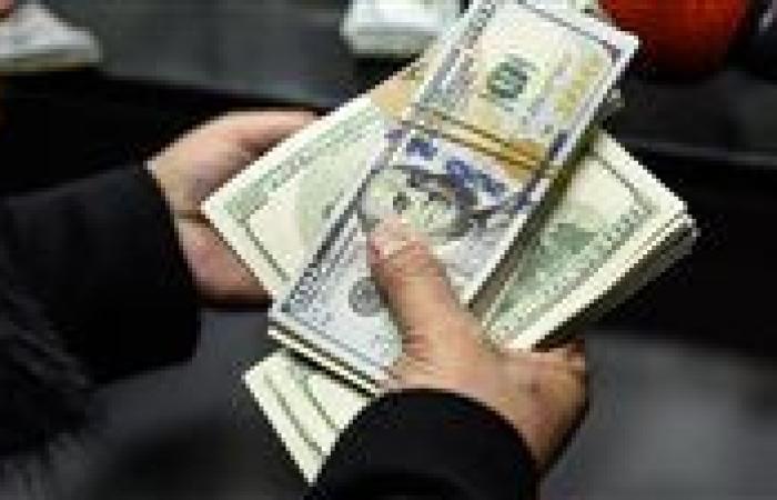 تحويلات العاملين بالخارج.. ركيزة صلبة لدعم الاقتصاد المصري في 2025