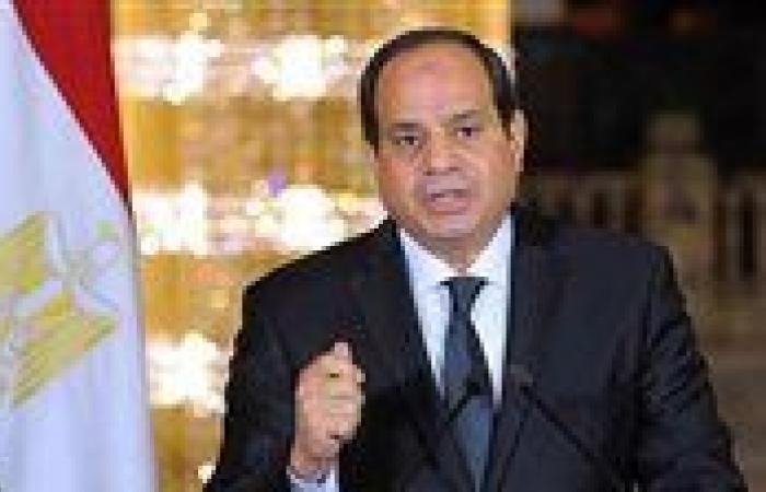 الرئيس السيسى يؤكد لنظيره القبرصى رفض مصر التام توسيع دائرة الصراع بالمنطقة