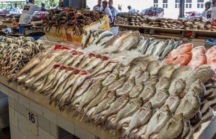 قفزات وتباين في أسعار السمك اليوم بسوق العبور.. البلطي يرتفع والجمبري يتفاوت