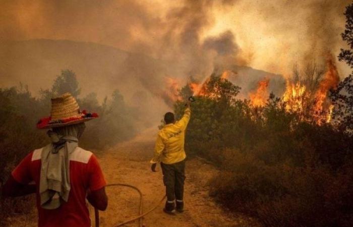 خرائط تنبؤية تكشف عن الأقاليم المهددة بخطر حرائق الغابات خلال الصيف