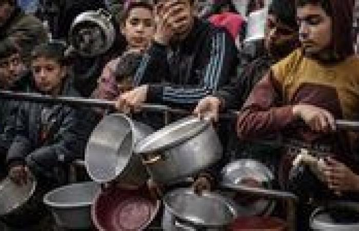عاجل.. محافظ شمال سيناء: جاهزون لإدخال المساعدات إلى غزة بعد ثوان من أي اتفاق