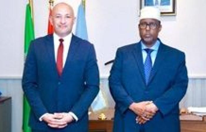 سفير الصومال لدى مصر يستقبل أمين عام الرئاسة المصرية للتهنئة بالعيد الوطني الصومالي