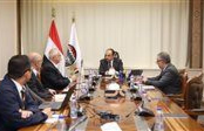 وزير قطاع الأعمال يبحث فرص التعاون مع «GS E&C» الكورية