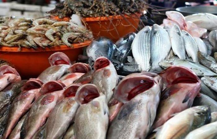 أسعار السمك والجمبري اليوم الأربعاء 2 يوليو 2025 بسوق العبور