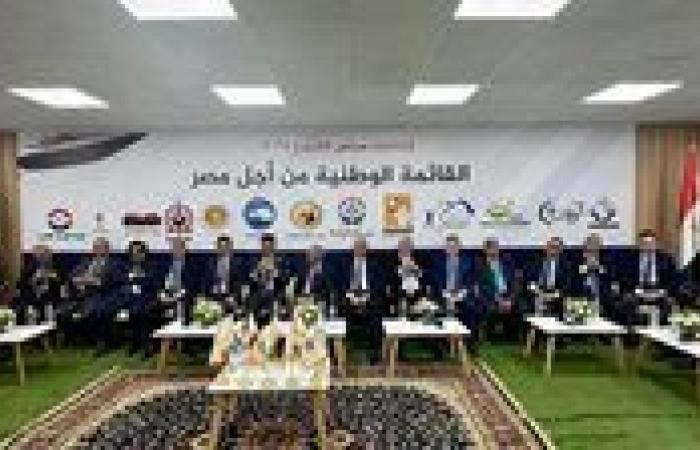 بيان الاجتماع التنسيقي الثاني للقائمة الوطنية من أجل مصر بشأن انتخابات الشيوخ