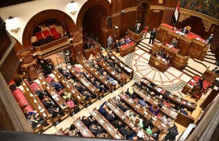 تزامنًا مع الاستعدادات للانتخابات.. ماذا يقدم مجلس الشيوخ للمجتمع؟
