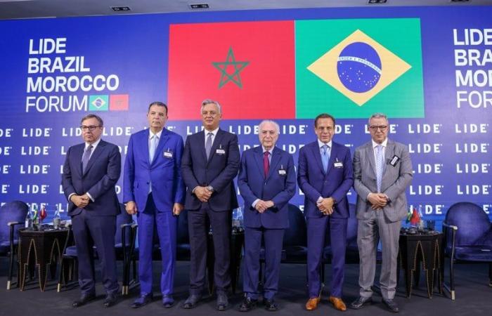 زيدان يثمن تعاون المغرب والبرازيل