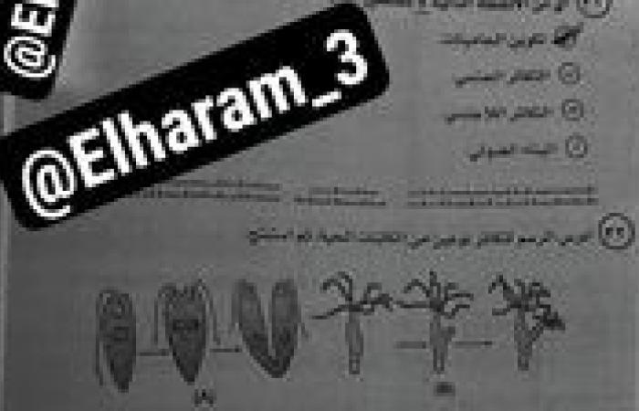 حقيقة تسريب امتحان الأحياء للثانوية العامة 2025.. التعليم توضح