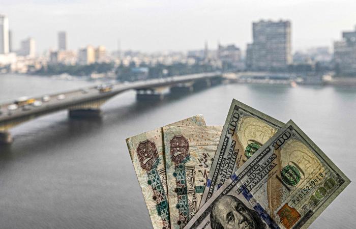 بالبلدي: مصر.. تأخير بيع الأصول الحكومية يؤجل مراجعات صندوق النقد .. ما تعليق الخبراء؟