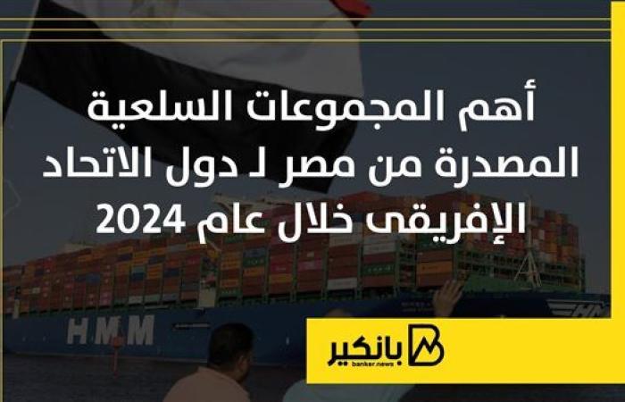 أهم المجموعات السلعية المصدرة من مصر لـ دول الاتحاد الإفريقي خلال 2024 |إنفوجراف