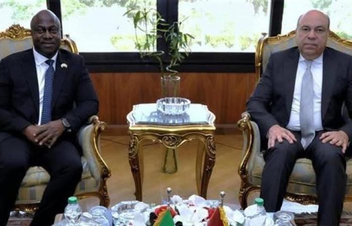 وزير الطيران المدني المصري يبحث مع نظيره ...