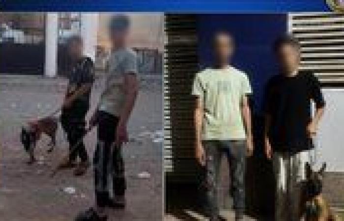 الأمن يكشف حقيقة مقطع بلطجة وترويع أطفال باستخدام كلب بالقليوبية