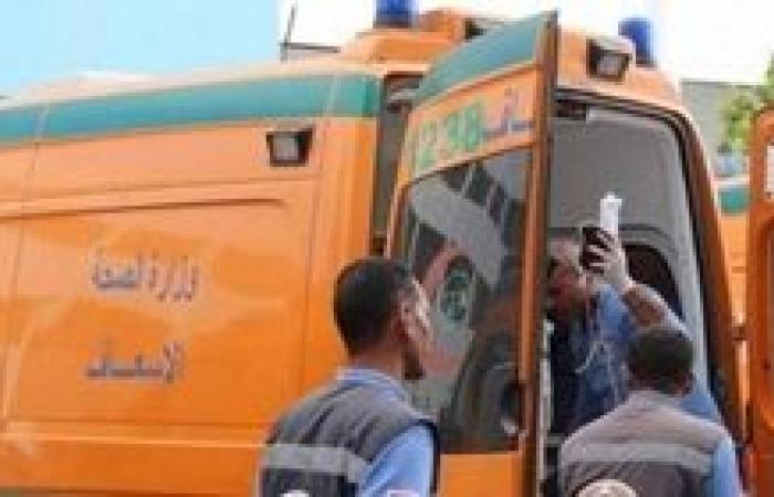 سوهاج.. إصابة سائق توك توك بجرح بطهطا