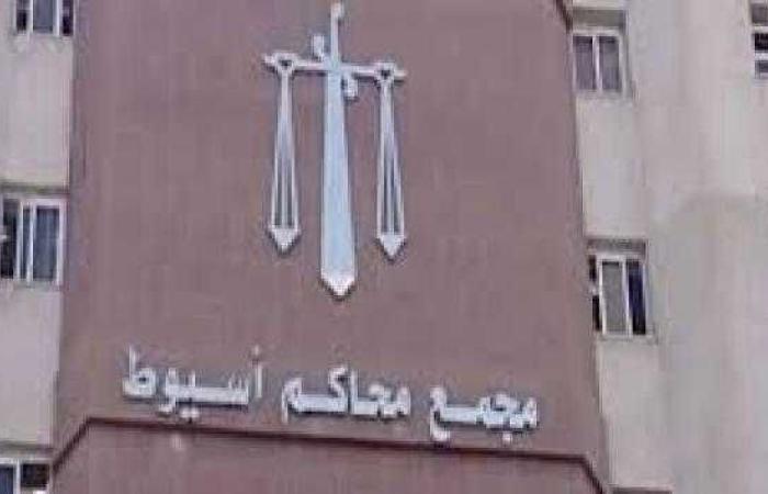 إحالة أوراق شقيقين للمفتي بتهمة قتل 3 أشخاص في خصومة ثأرية بأسيوط