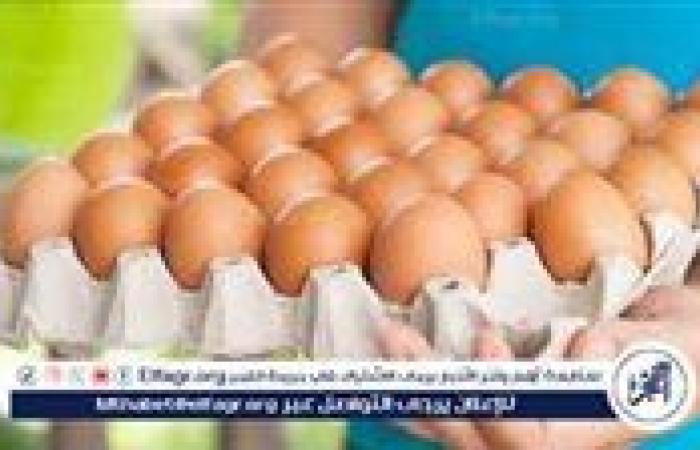 أسعار طبق البيض اليوم الأربعاء 16-7-2025 في الدقهلية