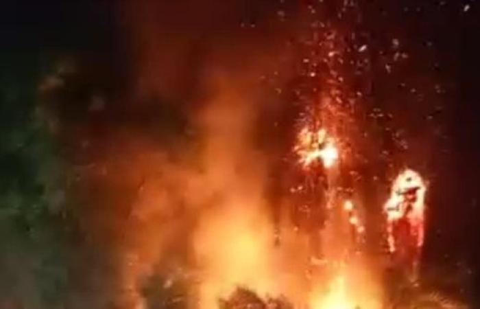 السيطر على حريق بأشجار النخيل بطريق الأربعين نجع حمادي- أبوتشت الزراعي