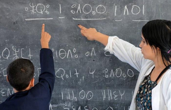 دراسة: تعلم الأمازيغية يصون التراث