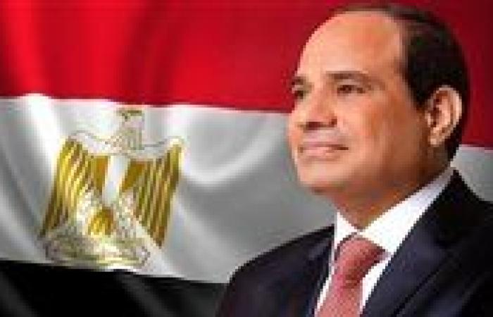 برلمانى يطالب المجتمع الدولى بتنفيذ رؤية الرئيس السيسي لإنقاذ الأوضاع فى غزة