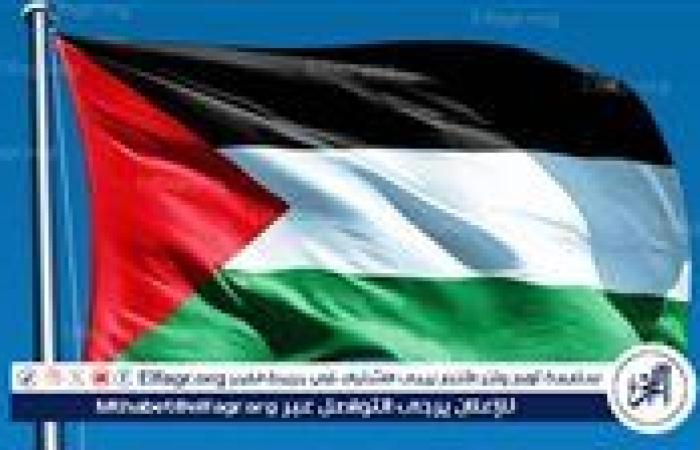 برلين تعتبر أن إسرائيل أصبحت "ضمن الأقلية" في موقفها من المسألة الفلسطينية