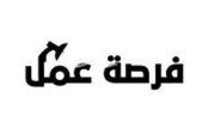 رواتب تصل إلى 12 ألف درهم شهريًا.. فرص عمل في الإمارات للمصريين