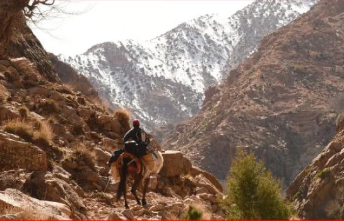ائتلاف الجبل يشيد برسائل الخطاب الملكي الداعية لتدارك الفوارق المجالية