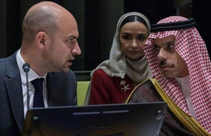 الخارجية الفرنسية: نشكر السعودية على جهدها في إنجاح مؤتمر حل الدولتين