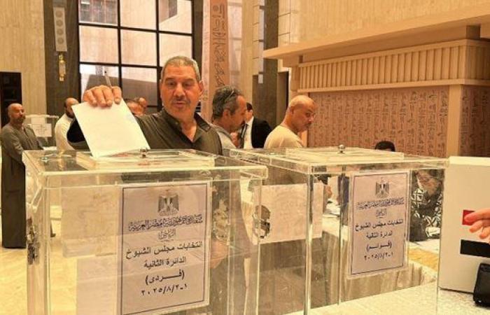 إغلاق لجان الاقتراع بعدد من الدول في أول أيام تصويت المصريين بالخارج بانتخابات الشيوخ 2025